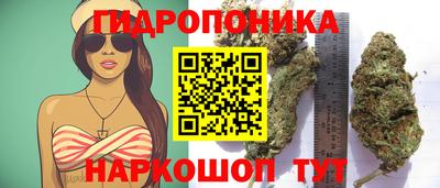 эйфоретик Донецк