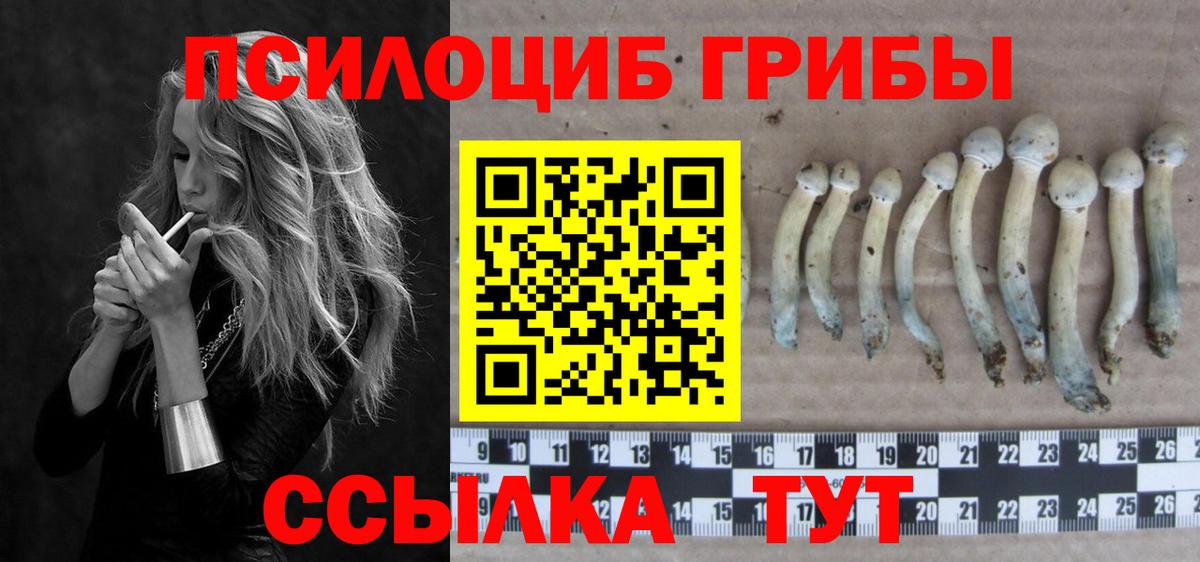 Псилоцибиновые грибы мицелий  Псилоцибиновые грибы мухоморы  Лангепас  где можно купить наркотик  Вход с VPN 