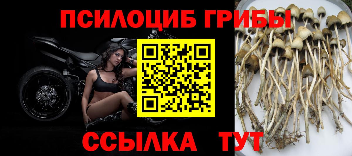 Галлюциногенные грибы Magic Shrooms Лангепас